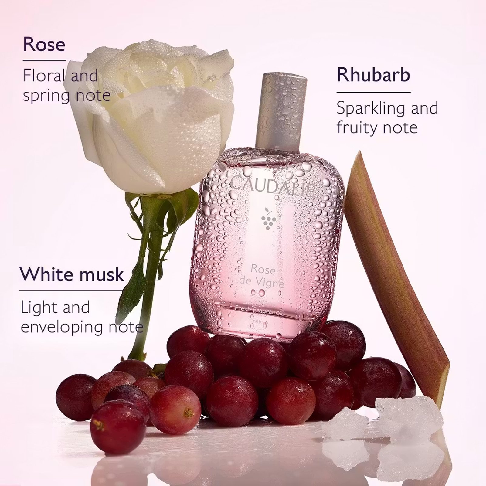 Caudalie Rose de Vigne Fresh Fragrance 50ml (1.6 fl oz) USA