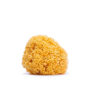 Suavinex Large Natural Sponge +0m