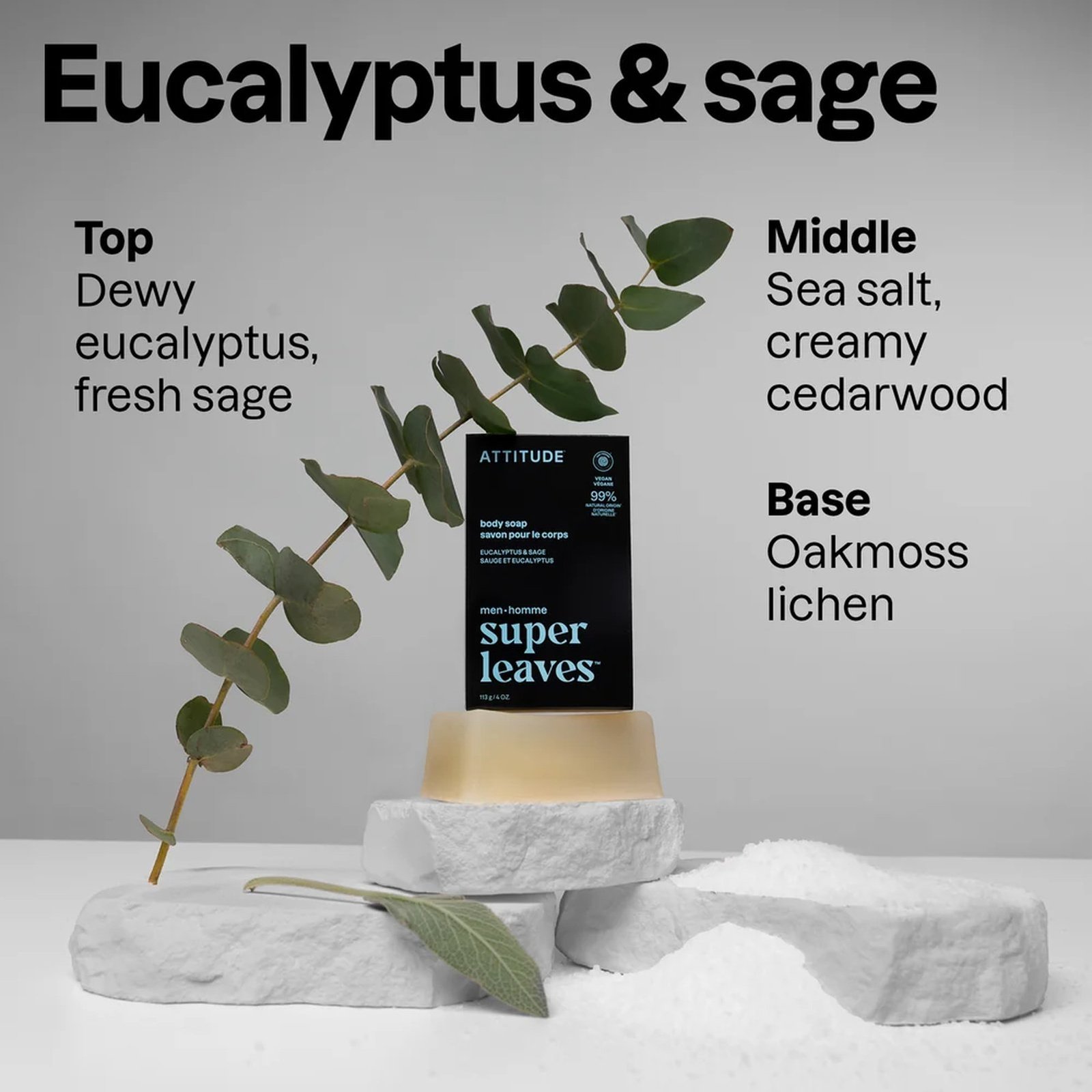 ATTITUDE Super Leaves Men Body Soap Eucalyptus & Sage 113g