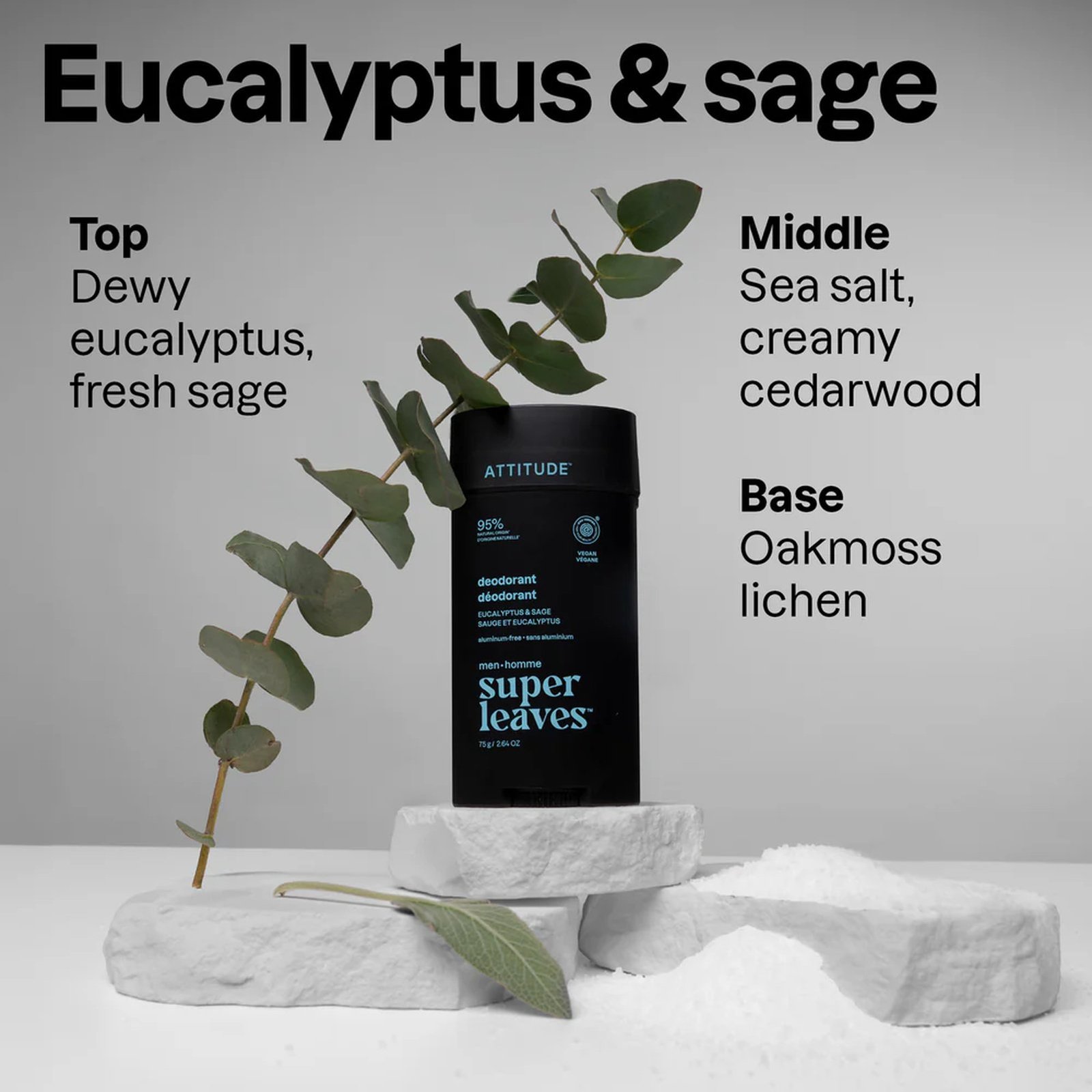 ATTITUDE Super Leaves Men Deodorant Eucalyptus & Sage 75g