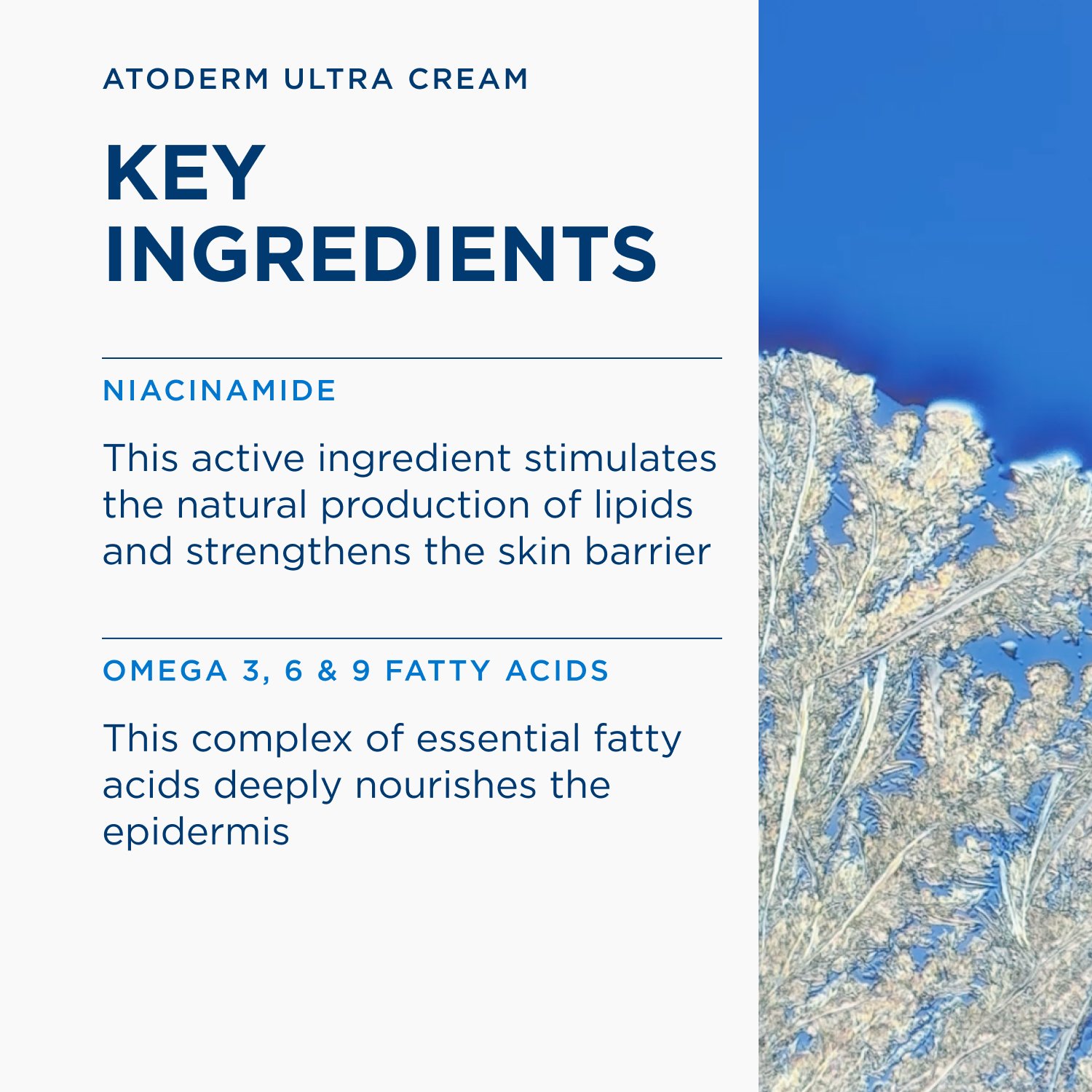Bioderma Atoderm Crème Ultra-Nourishing Moisturizing Cream 500ml (16.9floz)