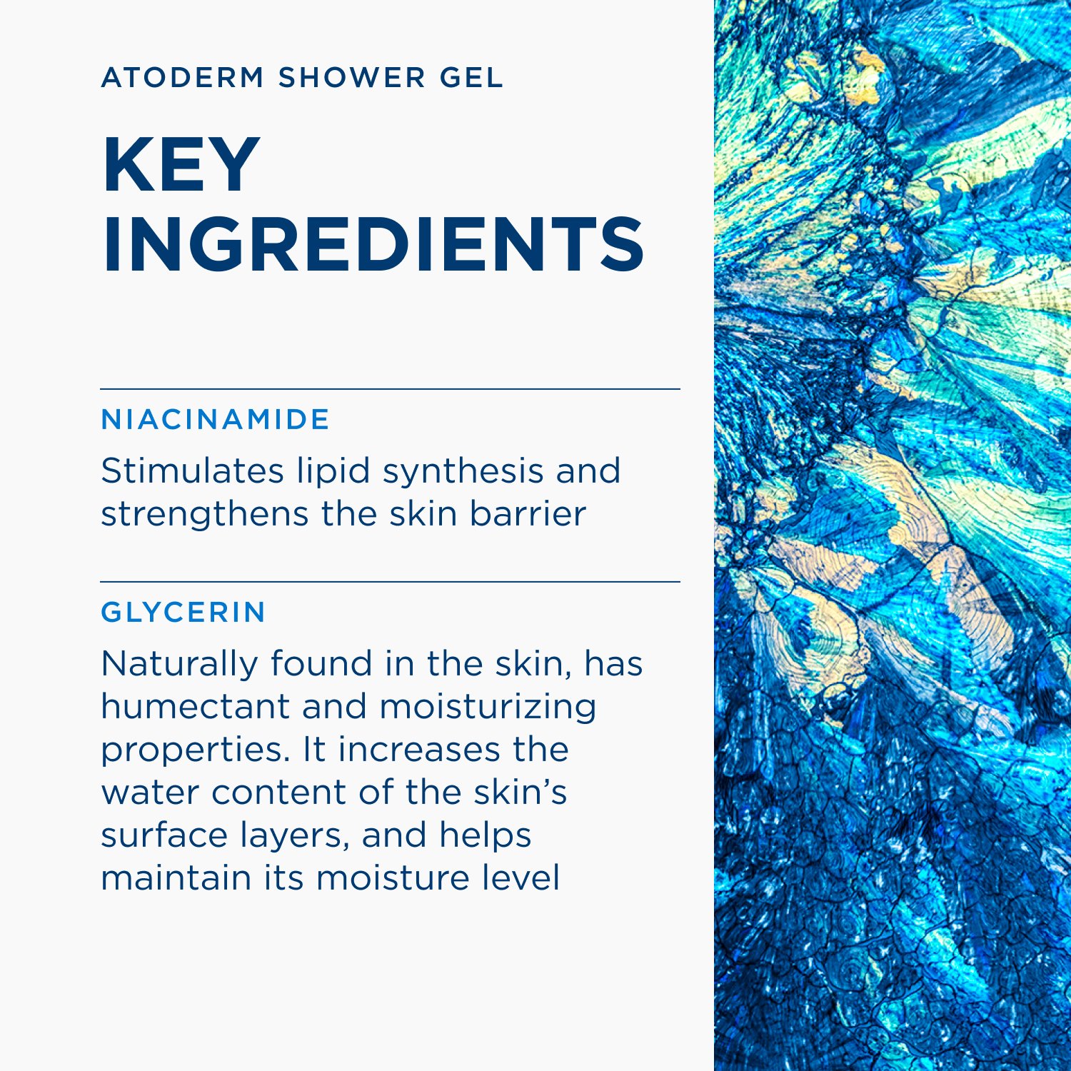 Bioderma Atoderm Gel Douche Gentle Cleansing Gel 200ml