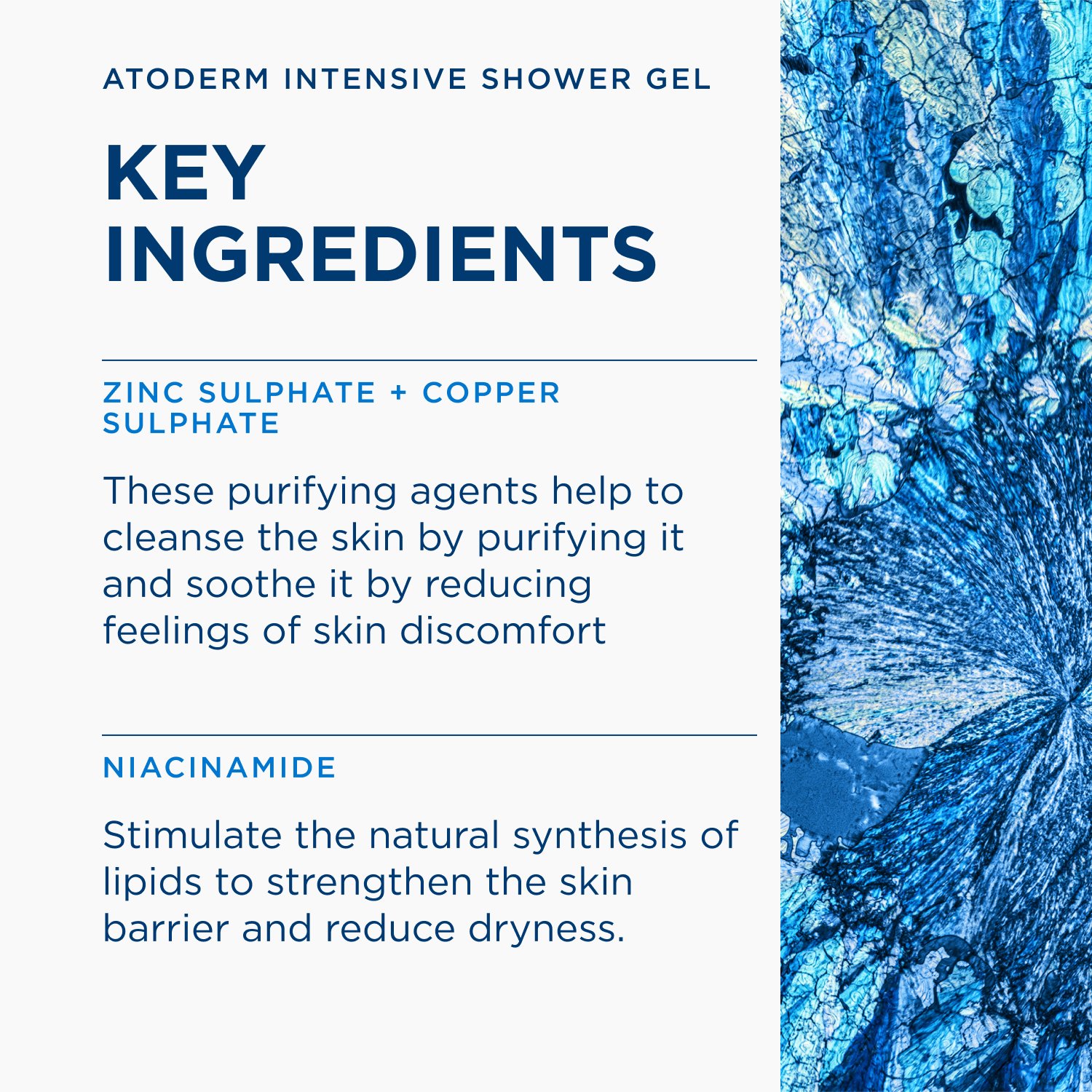 Bioderma Atoderm Intensive Gel Moussant Ultra-Soothing Foaming Gel 1L
