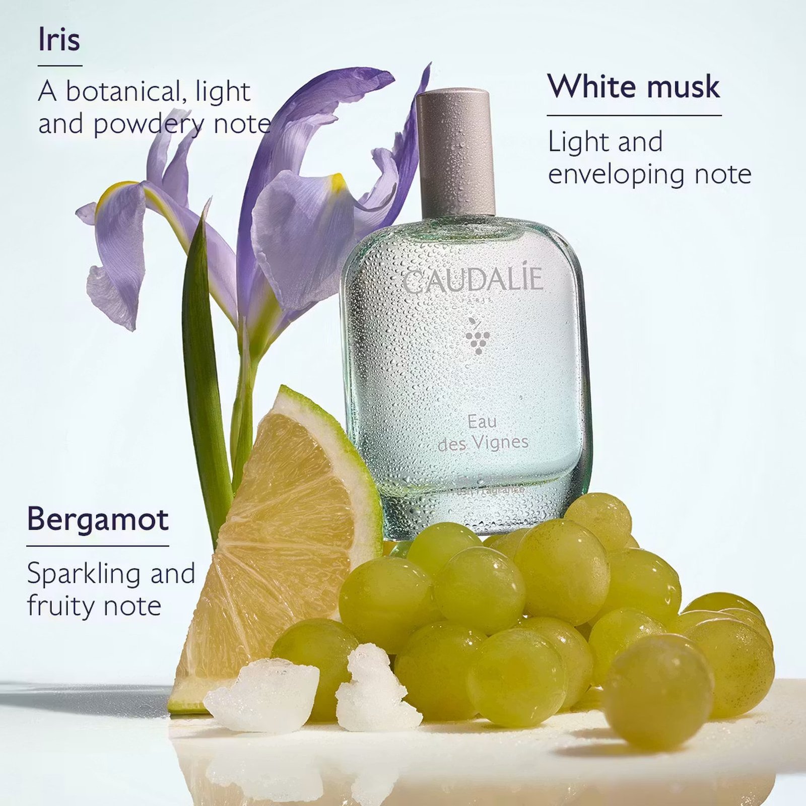 Caudalie Eau Des Vignes Frisk Duft 50ml