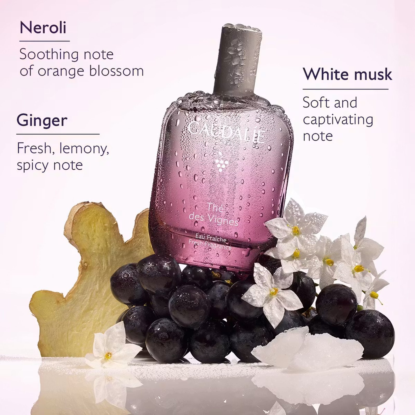 Caudalie Thé Des Vignes Frisk Parfume 100ml