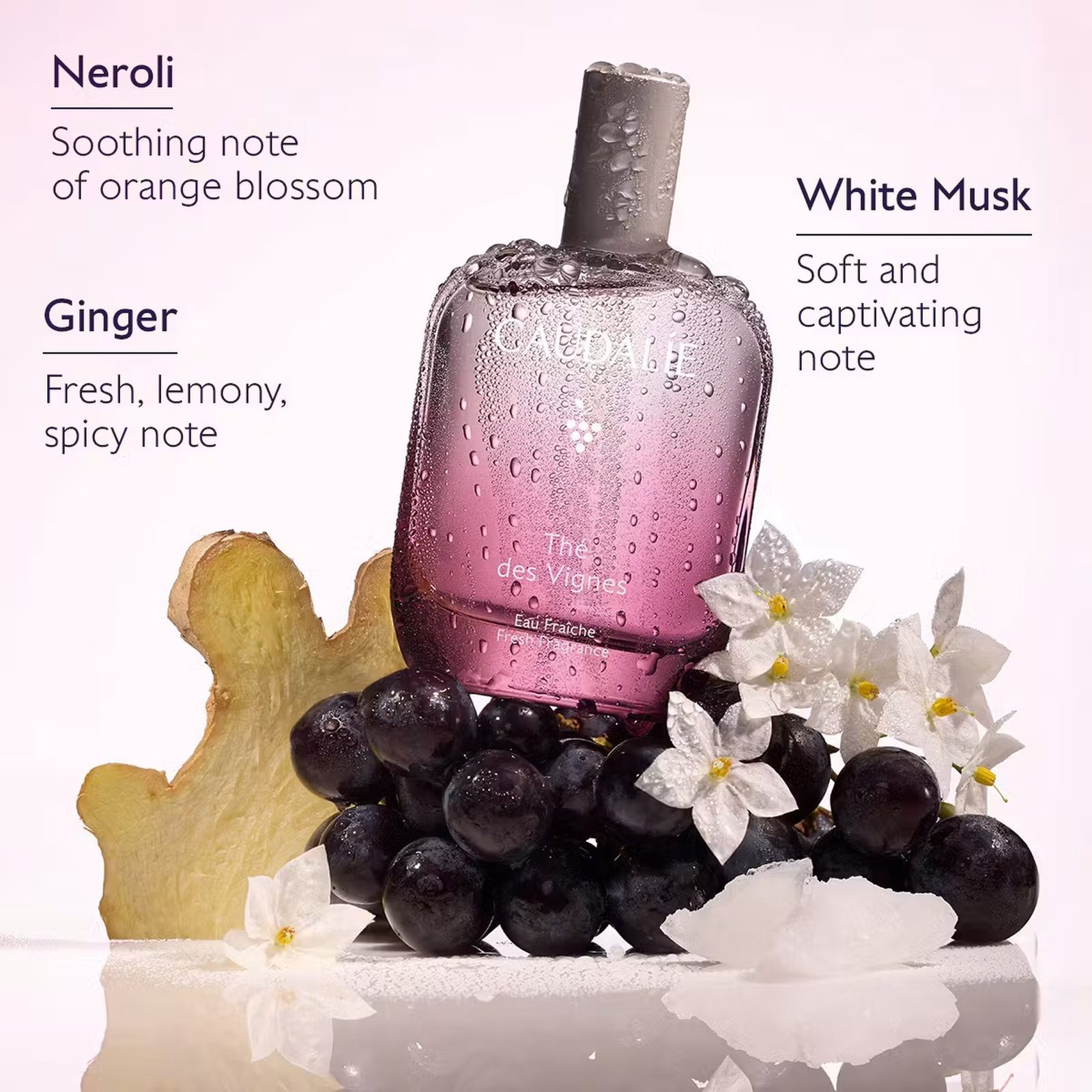 Caudalie Thé des Vignes Gift Set
