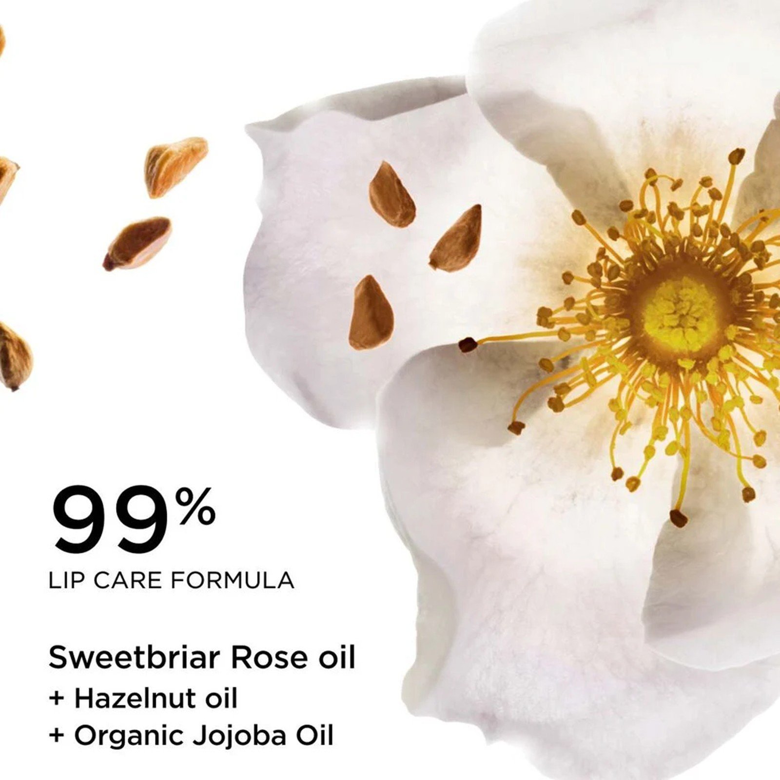 Clarins بلسم زيت الشفاه 08 Rosy Kiss 2.9g