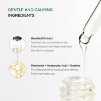 Anua Heartleaf 80% Moisture Soothing Ampoule 30ml