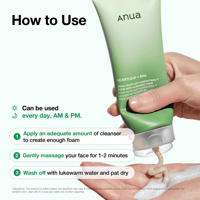 Anua Heartleaf Quercetinol Pore Diepreinigend Schuim 150ml