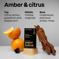 ATTITUDE Super Leaves Men Body Soap Amber & Citrus 113g