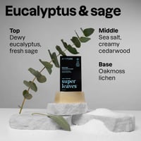 ATTITUDE Super Leaves Men Body Soap Eucalyptus & Sage 113g
