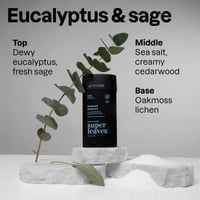 ATTITUDE Super Leaves Men Deodorant Eucalyptus & Sage 75g