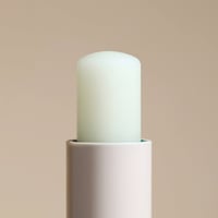 BeauTerra Nourishing Lip Balm with Shea Butter 4g