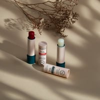 BeauTerra Nourishing Lip Balm with Shea Butter 4g