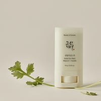 Beauty of Joseon Matte Sun Stick Mugwort + Camelia SPF50+ 18g (0.63oz)