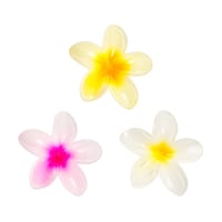 Brushworks Tropical Flower Claw Clips x3
