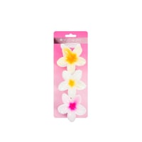 Brushworks Tropical Flower Claw Clips x3