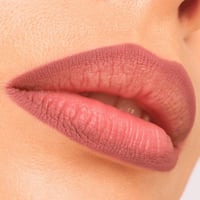 Catrice Plumping Lip Liner 210 Perfect Stranger 0.35g