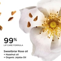 Clarins بلسم زيت الشفاه 08 Rosy Kiss 2.9g