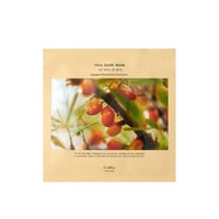 Dr. Althea Vita إشراق قناع 27g