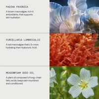 Elemis Pro-Collagen Rose Micro سيروم 30ml