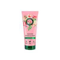 Herbal Essences Petal Soft Rose Scent Conditioner 250ml