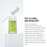 House of HUR Phyto Brew Matcha Ampoule 50ml