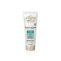 Il Salone Milano Scalp System شامبو موازن 250ml
