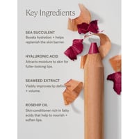ILIA Beauty Lip Sketch Lápis Hidratante Banquette 2,3g