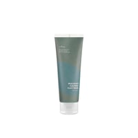 Isntree Mugwort Calming Clay Mask 100ml (3.38floz)