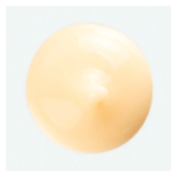 Klorane Nährende, Pflegende Leave-In-Creme mit Mangobutter 100ml