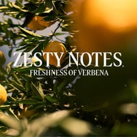 L'Occitane Citrus Verbena Deodorant Stick 70g