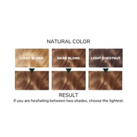 Lazartigue La Couleur Absolue 6.30 Golden Dark Blond Permanent Hair Color