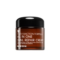 Mizon Multi Function Formula All in One Snail Repair Cream 75ml (2.54fl oz)