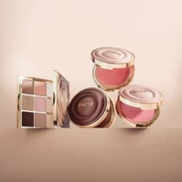 Paese Selfglow Creamy Blush with Matte Effect 03 Rose Veil 8g (0.28oz)