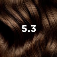 Phytocolor Coloration Permanente Teinte 5.3 Châtain Clair Doré