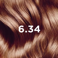 Phytocolor Permanent Color Shade 6.34 Intense Dark Copper Blonde