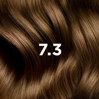 Phytocolor Permanent Color Shade 7.3 Golden Blonde