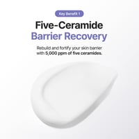 PURITO Luminous Ceramide Moisturizer 100ml (3.38floz)