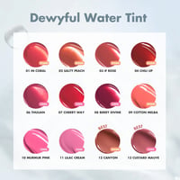 رومند Dewyful ماء تينت ملون 04 Chili Up 5.0g