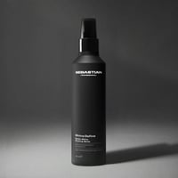 Sebastian Professional Shine Define Satin-Shine Styling Spray 200ml