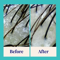 The Powder Shampoo Purifying Shampoo Peppermint & Thyme 20g