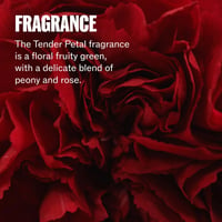 Wella Ultimate Repair Step 1 Shampoo 250ml