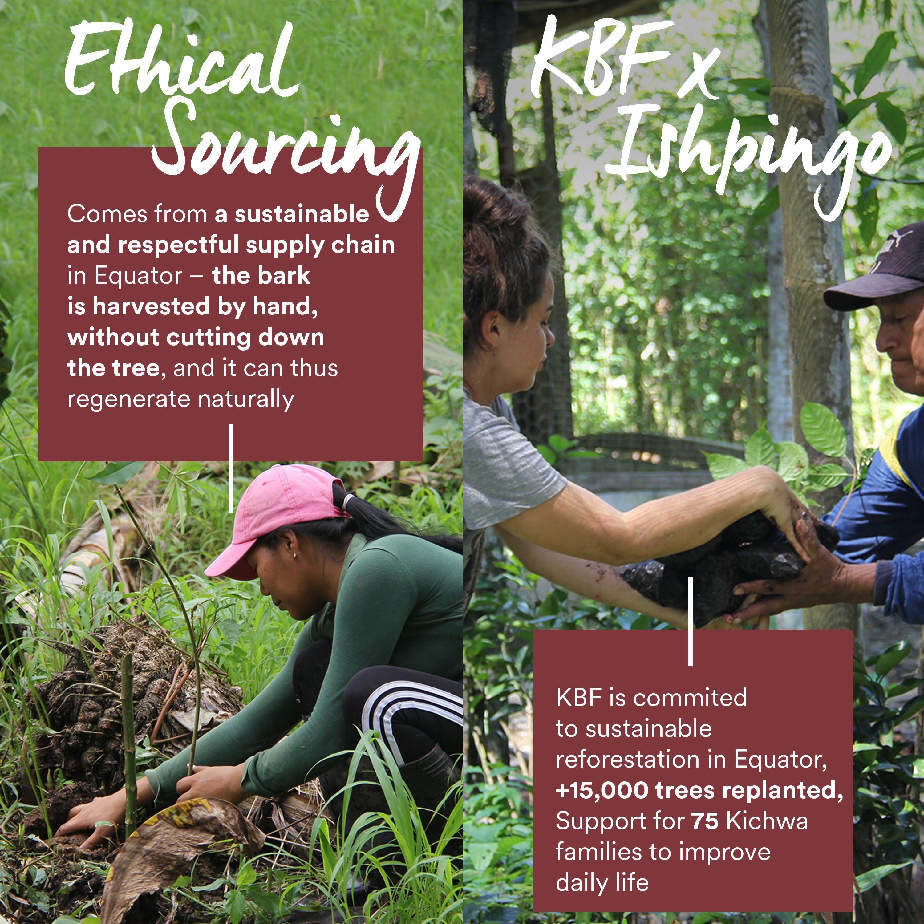 Klorane Anti-Hair Loss Serum 100ml (3.38floz)